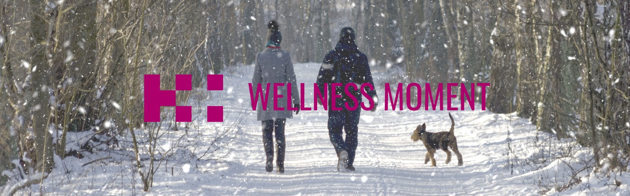 winter wellness - healthy holiday